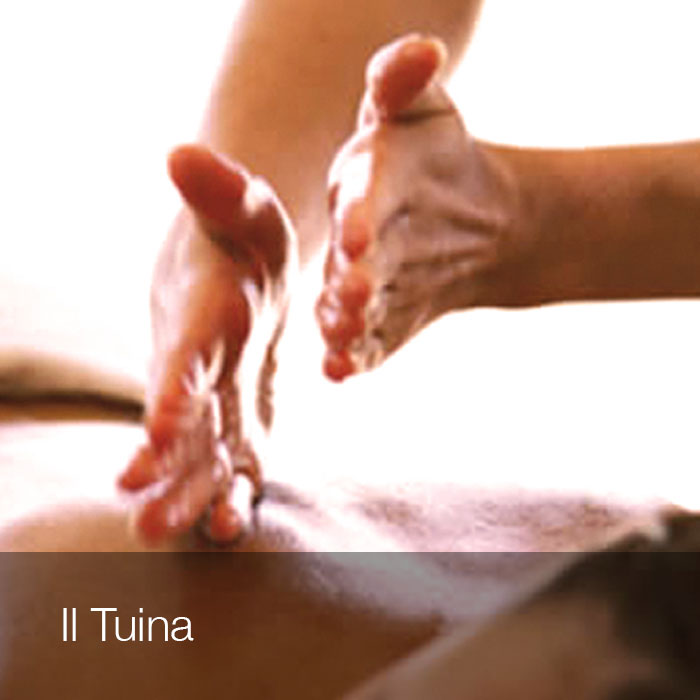 Vai al massaggio Tuina del Centro Shen Pomezia Roma